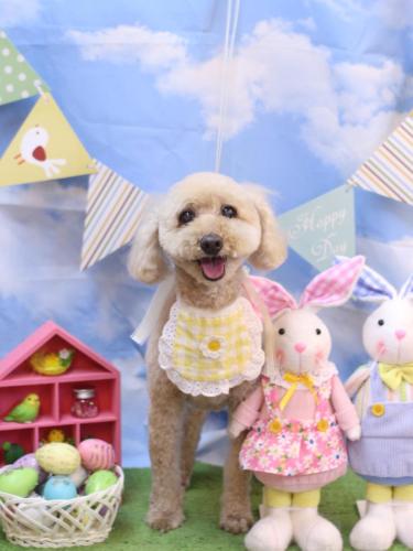 20240322ココアちゃん